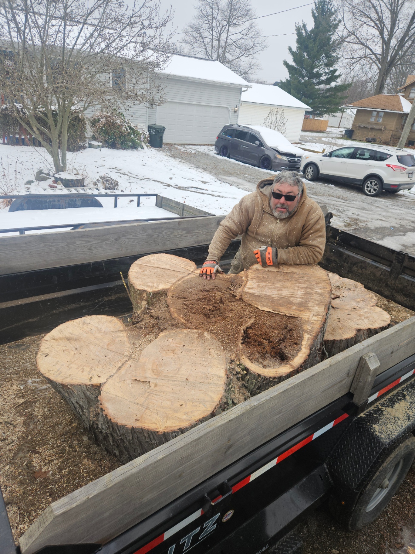 About Anderson Tree Service | Northeast Ohio